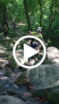 BIB:  <button type="button" onclick="openModal(28052965)" class="btn btn-primary btn-sm float-right" data-toggle="modal" data-target=".modal-high-quality">
                <i class="fa fa-download"></i> Download
                </button>